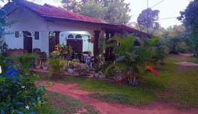 Ovi House